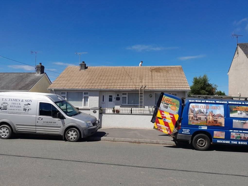 gallery-1 WhatsApp Image 2025 02 05 At 12.44.35 1