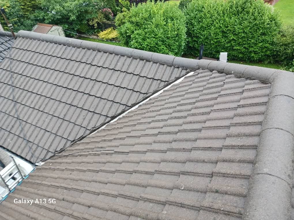 gallery-3 WhatsApp Image 2025 02 05 At 12.47.57